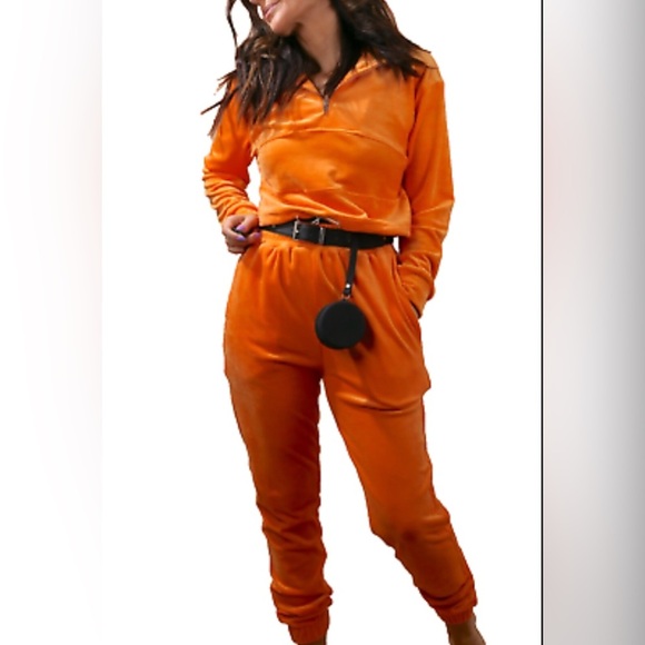 Danielle Guizio Pants - Danielle Guizio ‘Guizio PT2’ Velour Joggers in Orange
